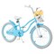20 Inch Kids Bike with Dual Brakes Adjustable Seat and Removable Basket